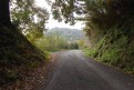 badia_112108_0002