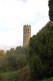 badia_112108_0005