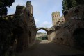 badia_112108_0010