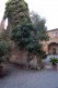 badia_112108_0014
