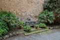 badia_112108_0017