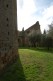 badia_112108_0041