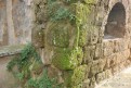 badia_112108_0088