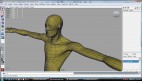 low poly shoulder view