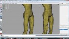 lower torso and upper leg
